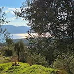 Amber Akyaka * Ula