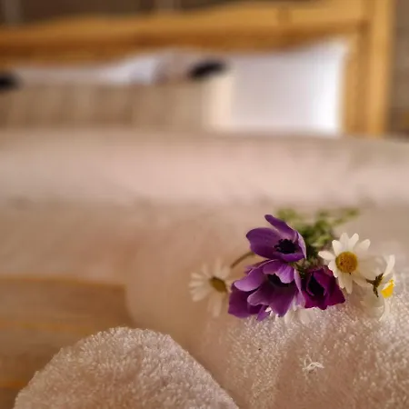 Amber Bed & Breakfast *