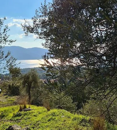 Amber * Akyaka (Mugla)